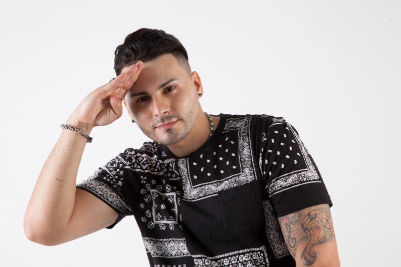 Artista Rosario Canciones